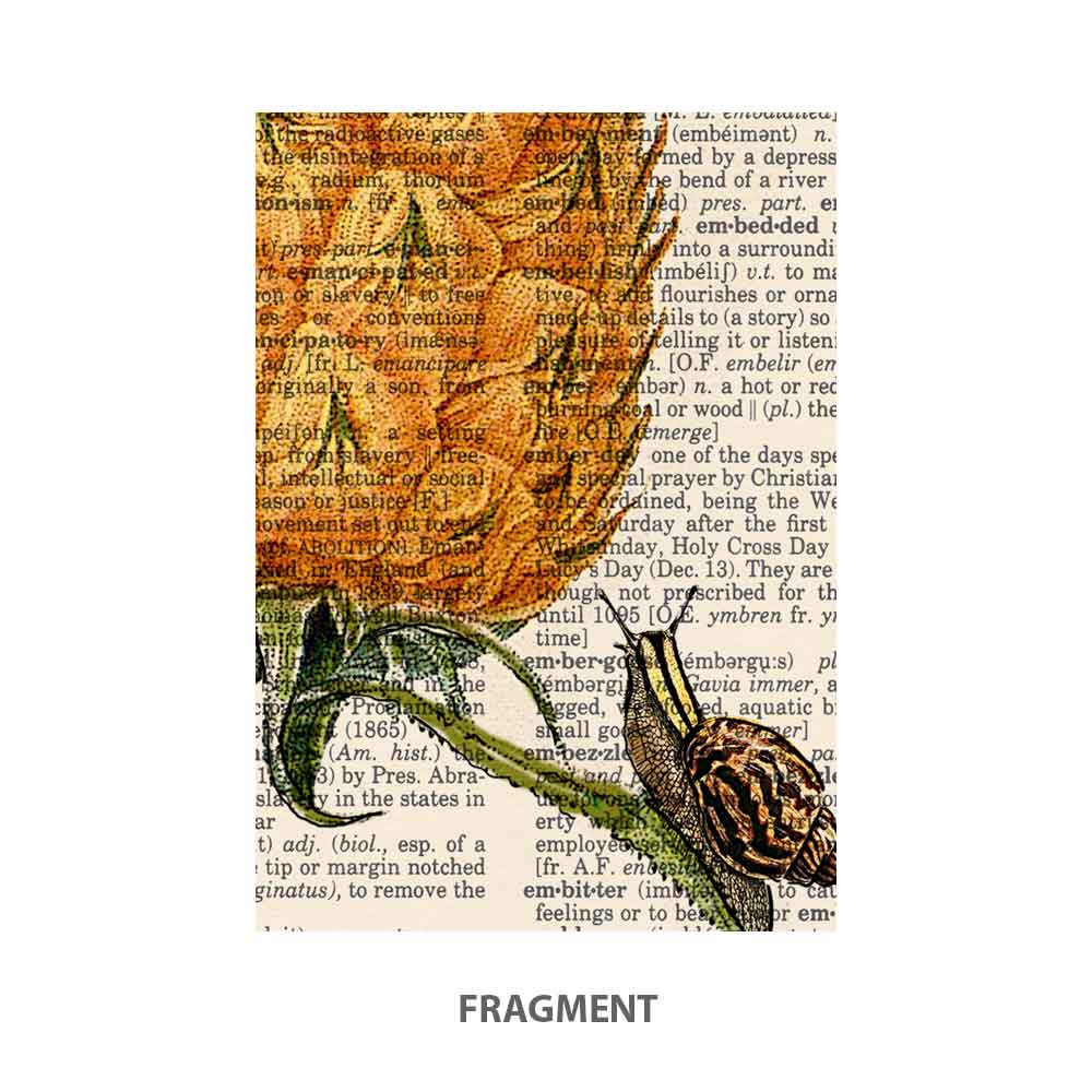 Pineapple, snail and Butterfly art print Natalprint fragment