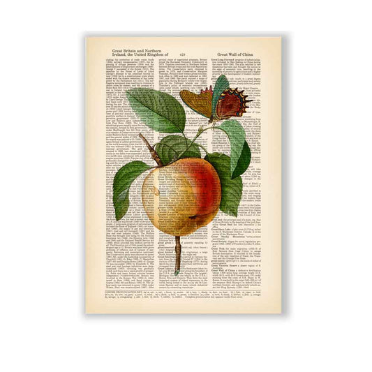 Apple and Butterfly art print Natalprint