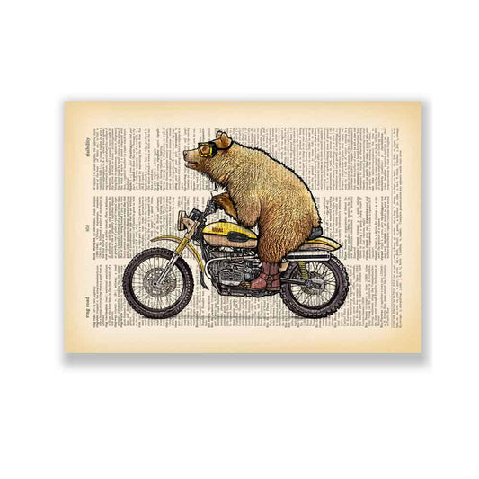 Grizzly bear on motorbike art print Natalprint