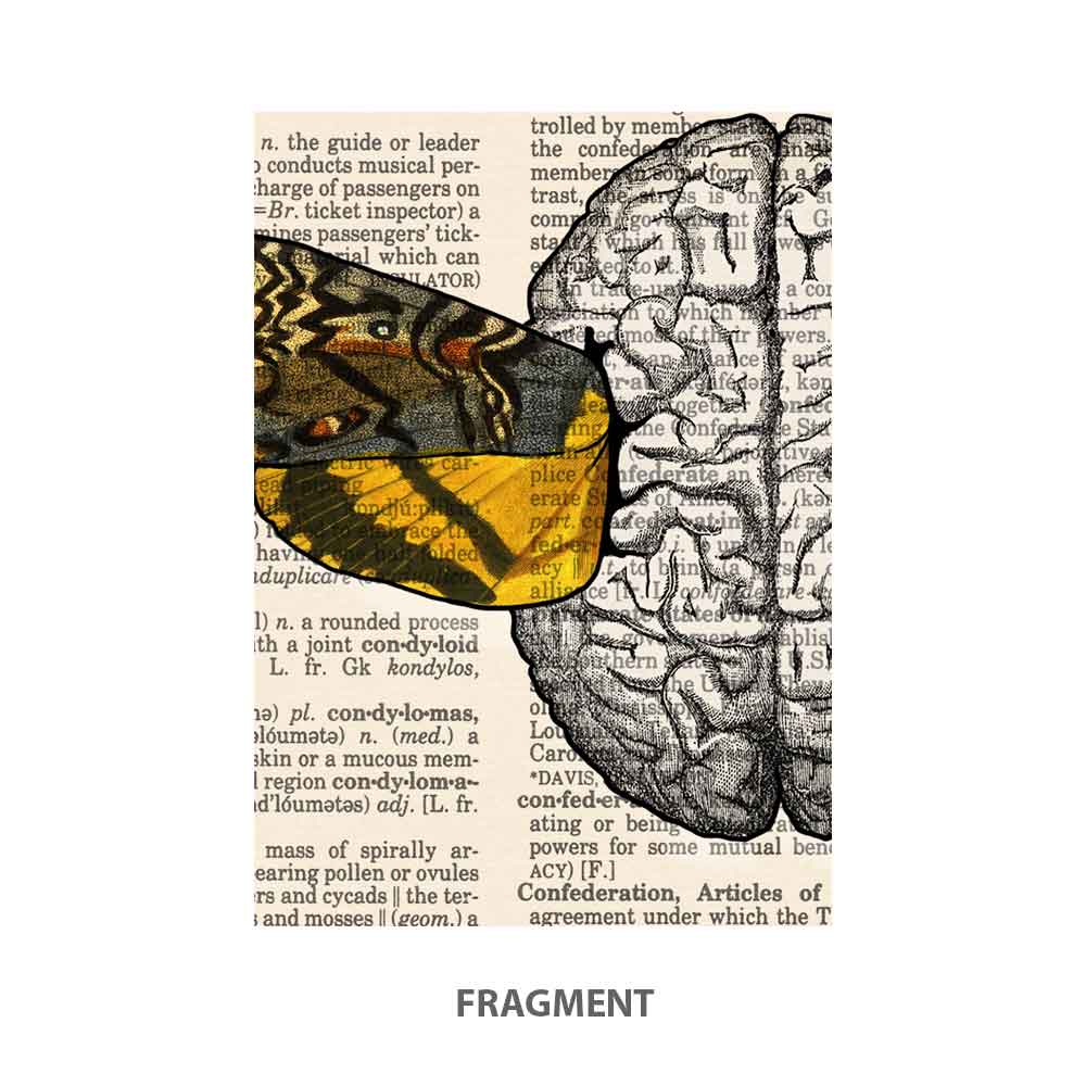 Brain with sign art print Natalprint fragment