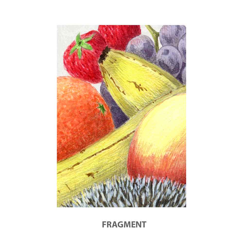 Hedgehog with fruits Art Print Natalprint fragment