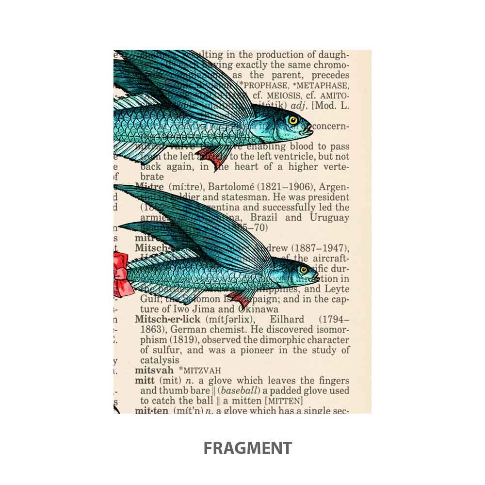 Victorian gentleman and flying fishes art print Natalprint fragment