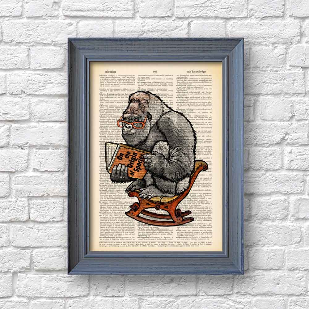 Gorilla reading book by C. Darwin art print Natalprint