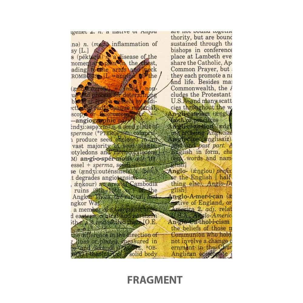 Black grapes, snail and butterfly art print Natalprint fragment