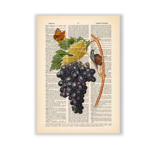 Black grapes, snail and butterfly art print