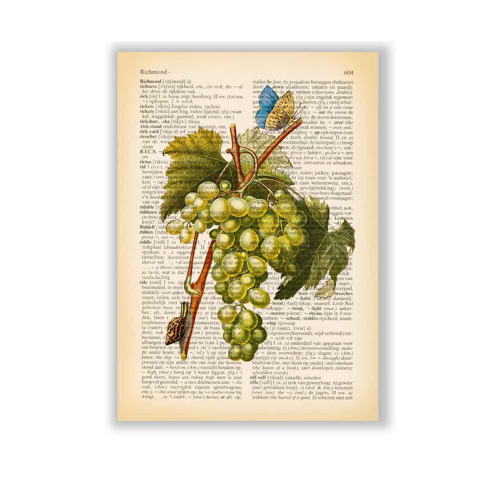 White grape butterfly and snail art print