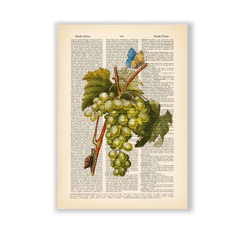 White grape butterfly and snail art print Natalprint
