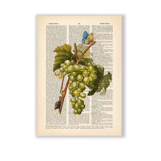White grape butterfly and snail art print Natalprint