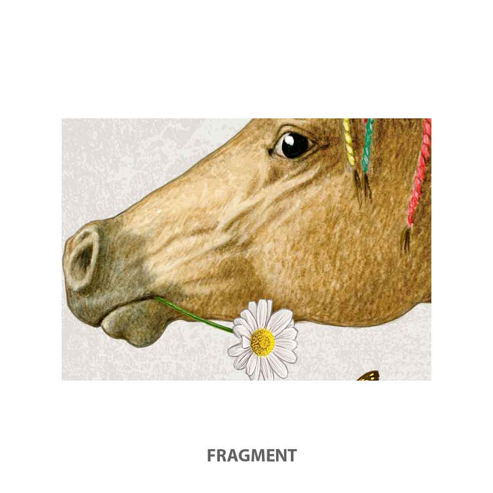 Horse and daisies art print Natalprint fragment