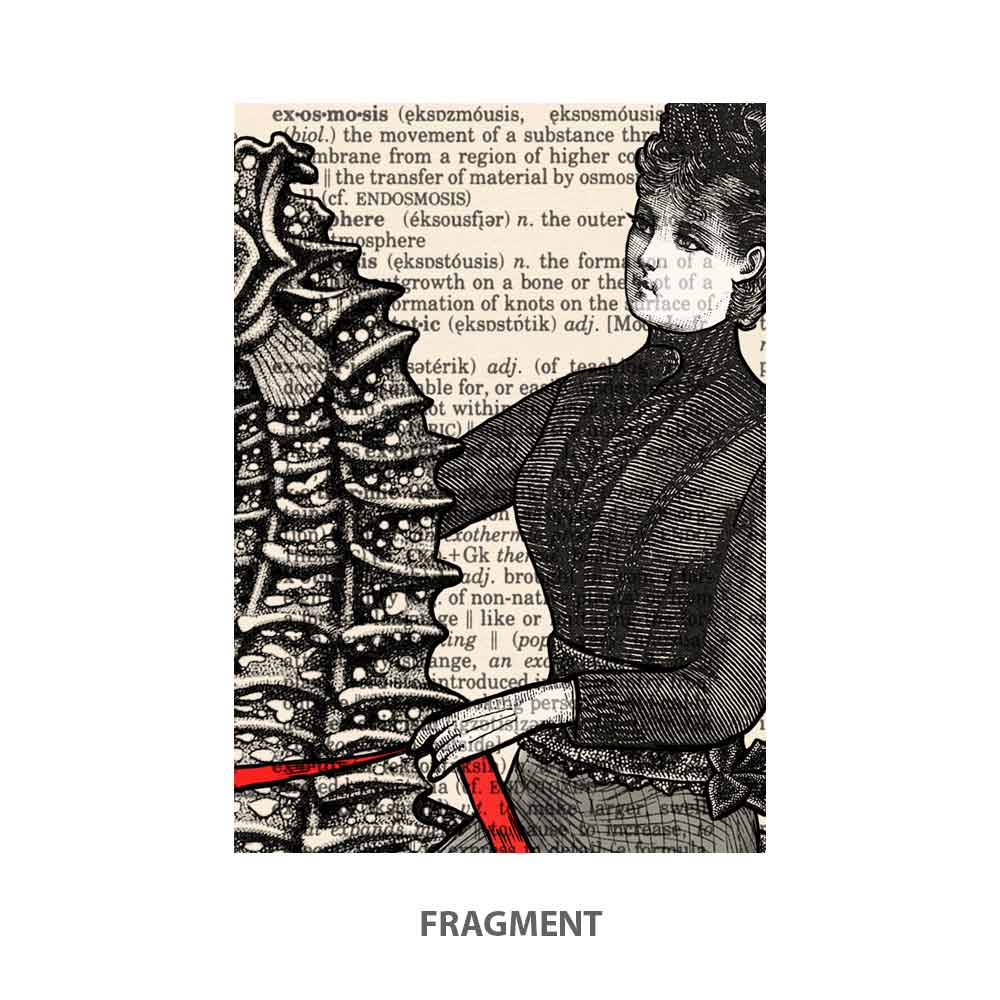 Victorian lady riding a seahorse art print Natalprint fragment