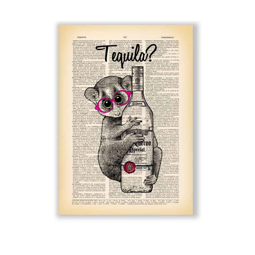 Lemur and Tequila art print Natalprint