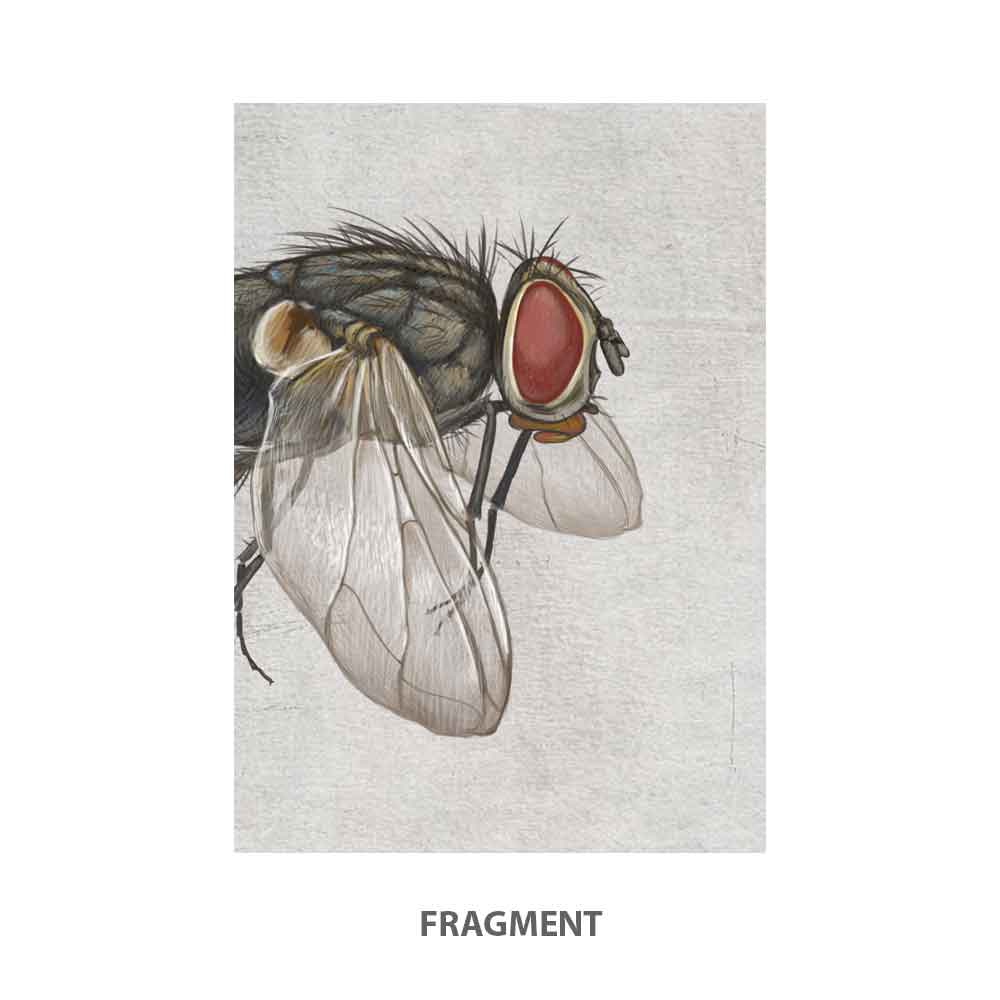 Fly Minimalist Art Print Natalprint fragment