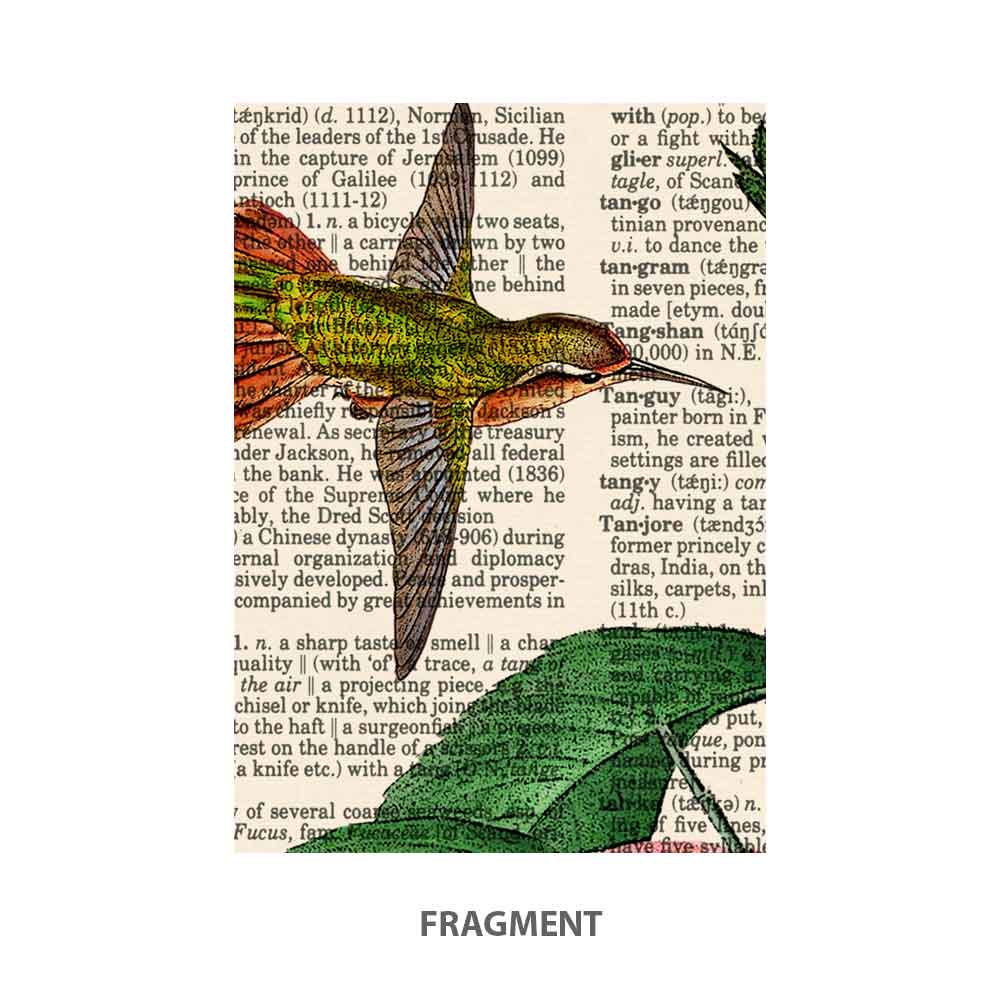 Peaches, hummingbird and butterfly art print Natalprint fragment