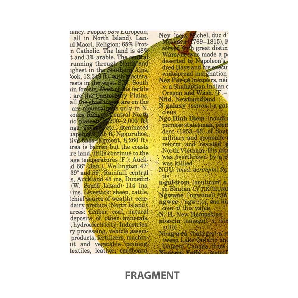 Pear, swallow and butterfly art print Natalprint fragment