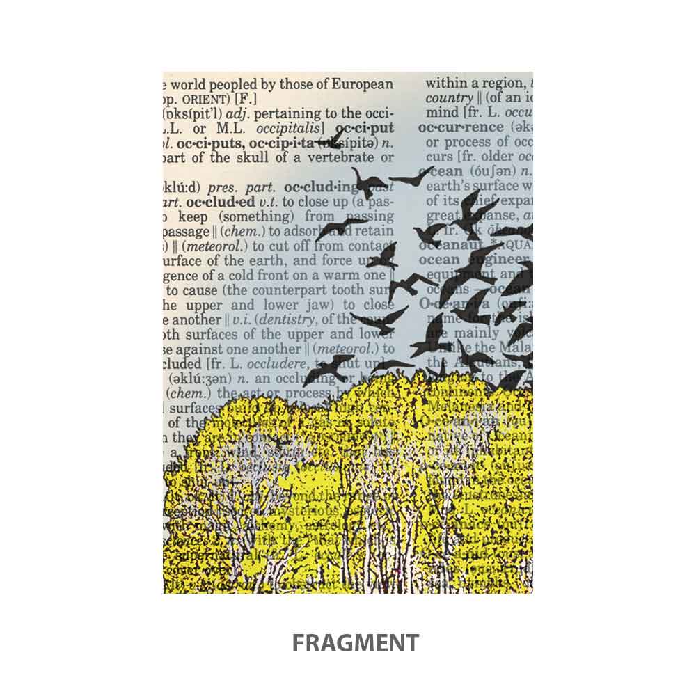 Piano and birds art print Natalprint fragment