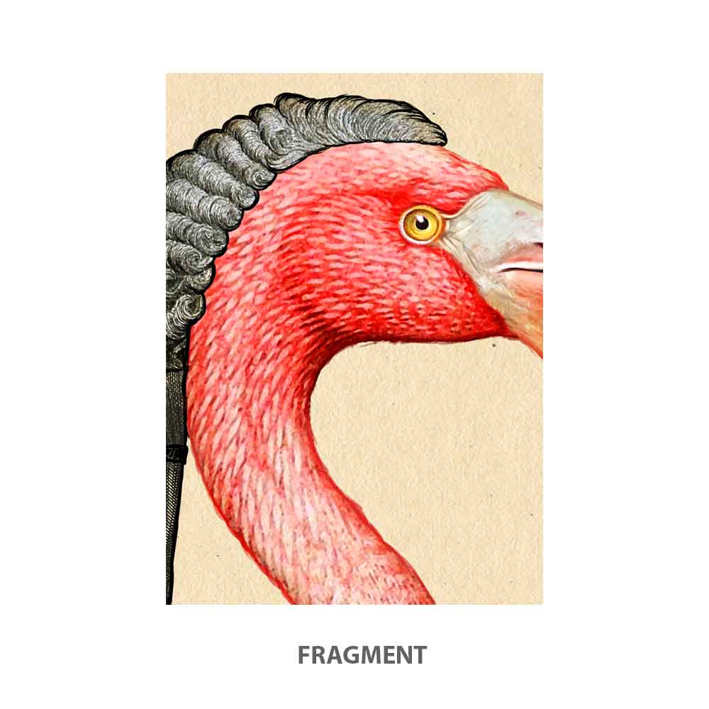 Flamingo bird art print Natalprint fragment