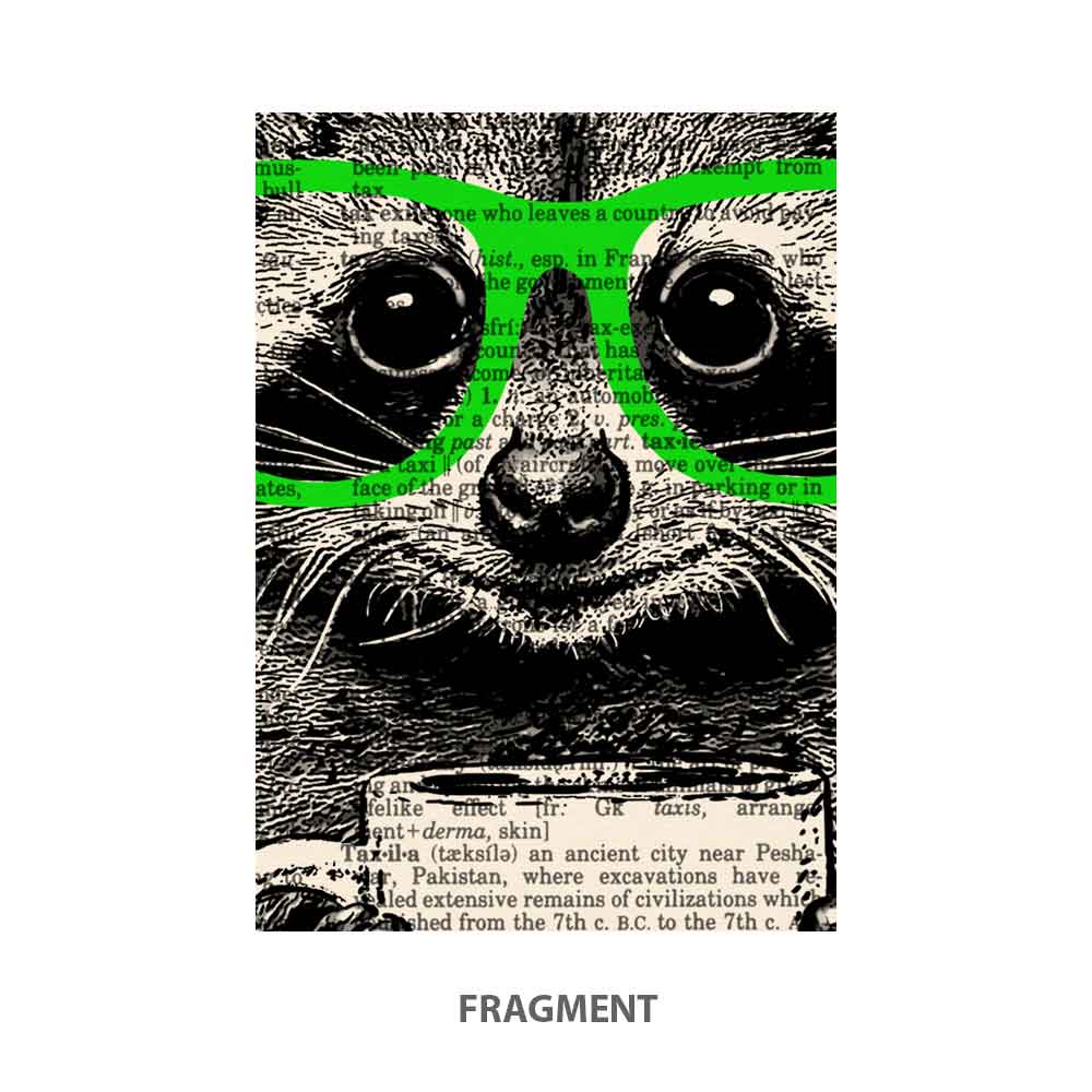 Tea Time with Raccoon art print Natalprint fragment