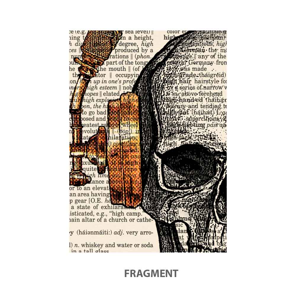 Skull in steampunk headphones art print Natalprint fragment