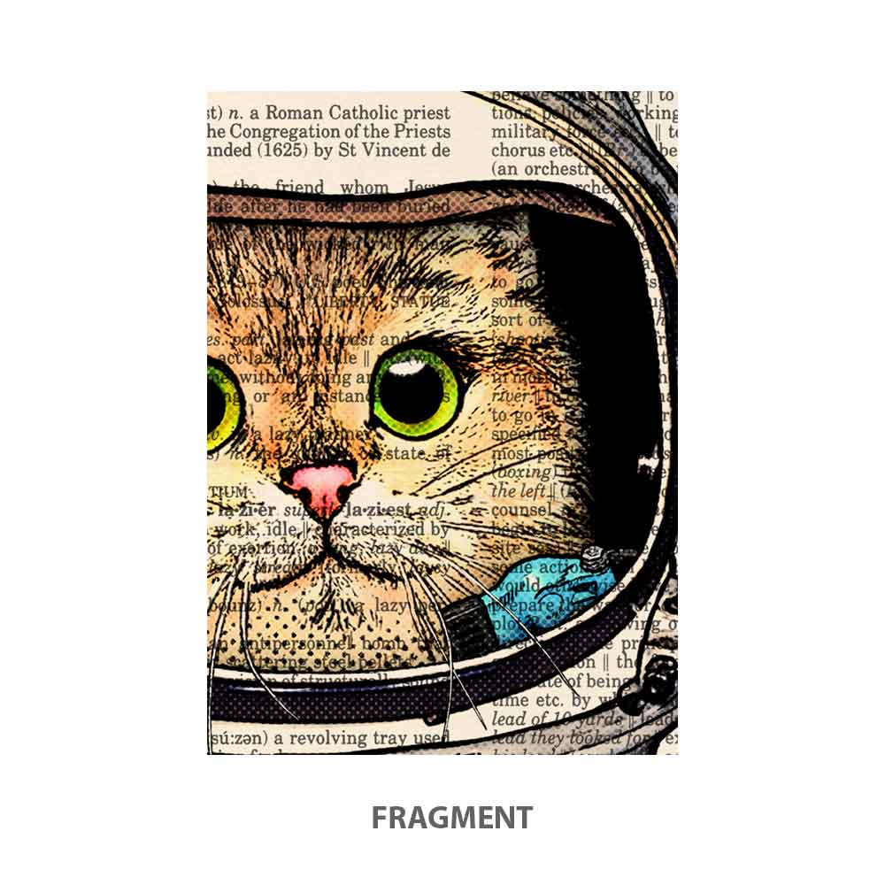 Cat astronaut in space suit art print Natalprint fragment
