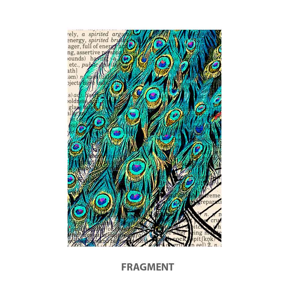 Peacock on Bicycle Art Print Natalprint fragment
