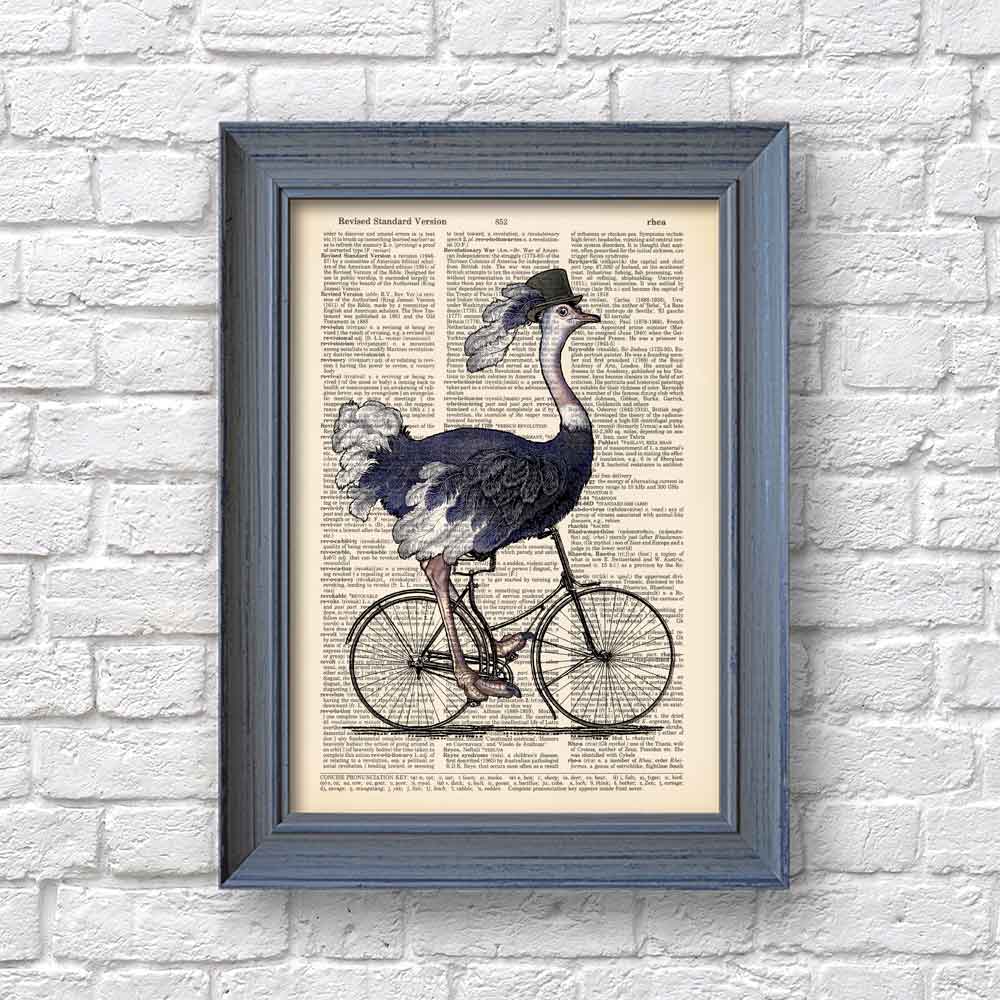 Ostrich on bicycle art print Natalprint